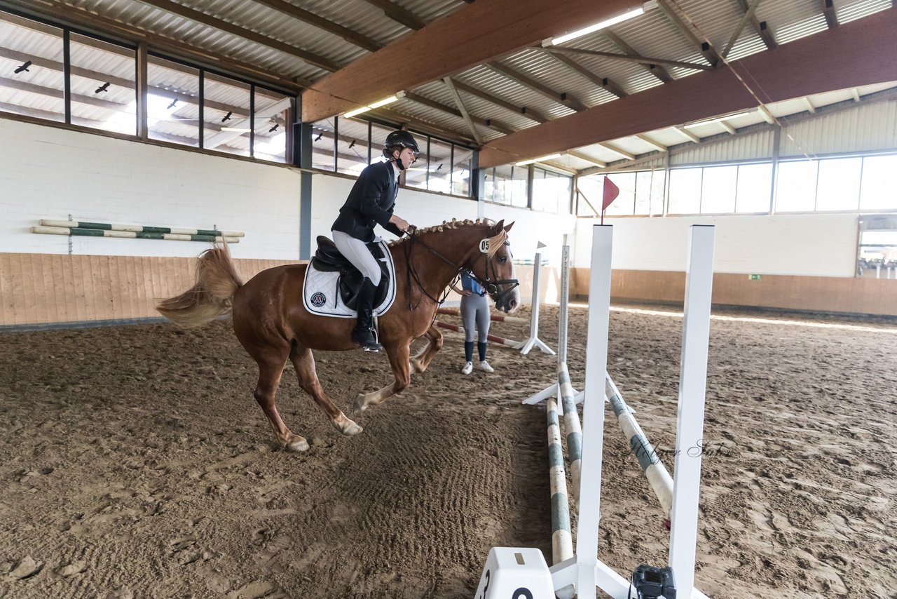 Bild 6 - Pony Akademie Turnier